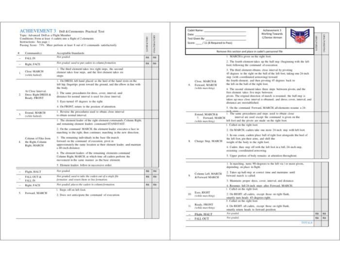 Cap achievement 6 drill test