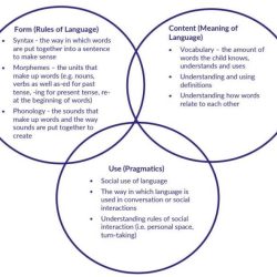 Language lahey bloom chart development speech therapy developmental sequence model choose board