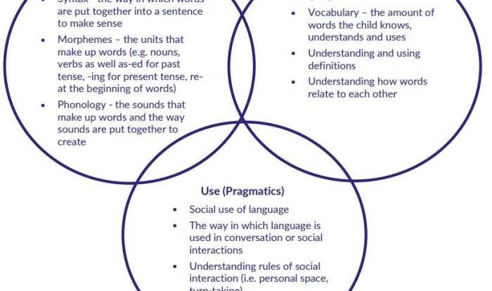 Language lahey bloom chart development speech therapy developmental sequence model choose board