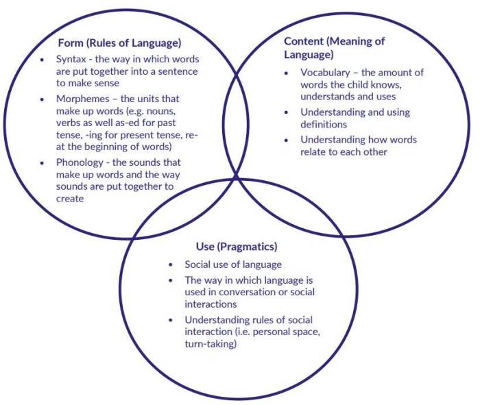 Language lahey bloom chart development speech therapy developmental sequence model choose board