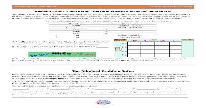 Amoeba sisters genetic drift answer key