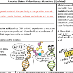 Drift genetic amoeba jokes key demystify amoebasisters