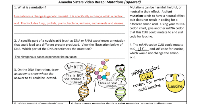 Drift genetic amoeba jokes key demystify amoebasisters