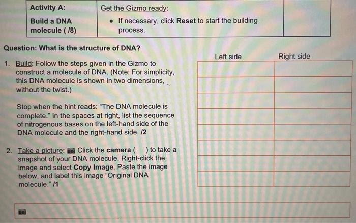 Building dna gizmo answer key