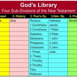 Divisions of the new testament