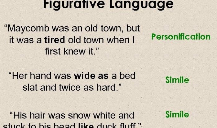 Figurative language in to kill a mockingbird