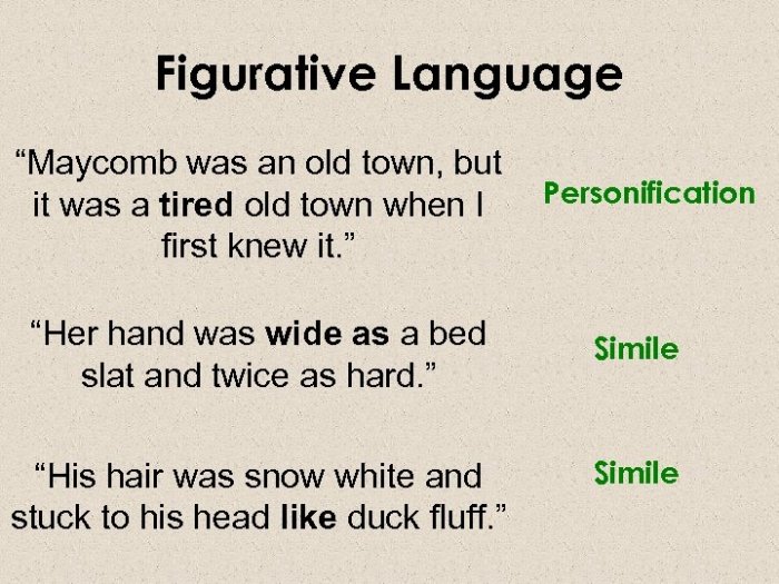 Figurative language in to kill a mockingbird