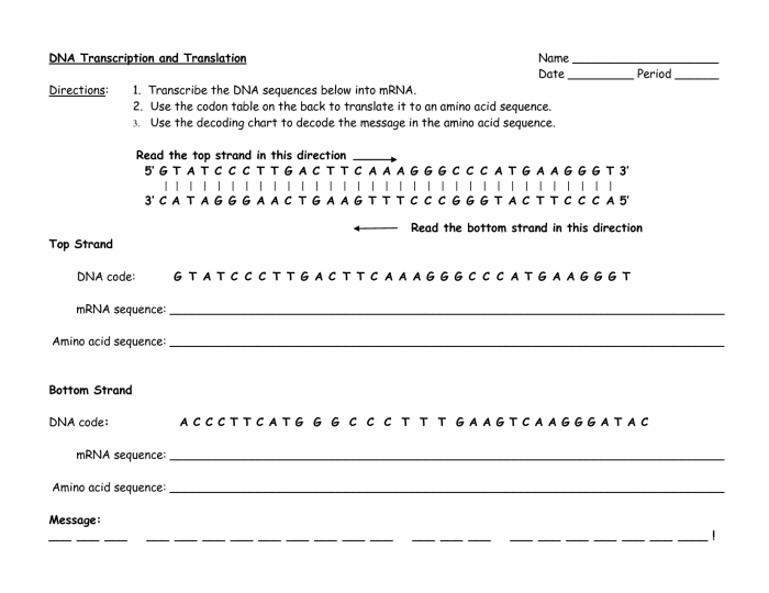 Transcription translation worksheet answer key dna rna answers worksheeto practice protein via synthesis