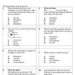 Characteristics of bacteria worksheet answer key