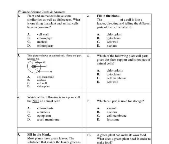 Characteristics of bacteria worksheet answer key