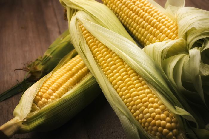 Yellow thanksgiving vegetable that grows on stalks