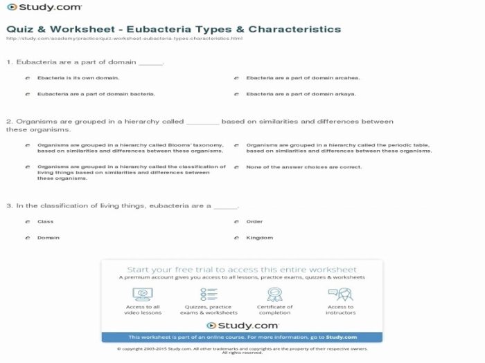 Characteristics of bacteria worksheet answer key