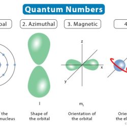 Quantum number spin ms numbers magnetic table four shells given chemistry first different