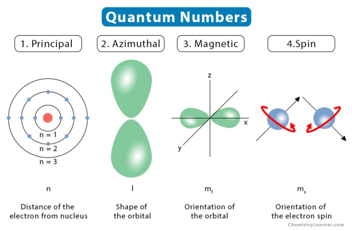 Quantum number spin ms numbers magnetic table four shells given chemistry first different