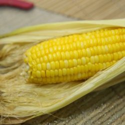 Corn yellow benefits health maize mais nutrition food look found